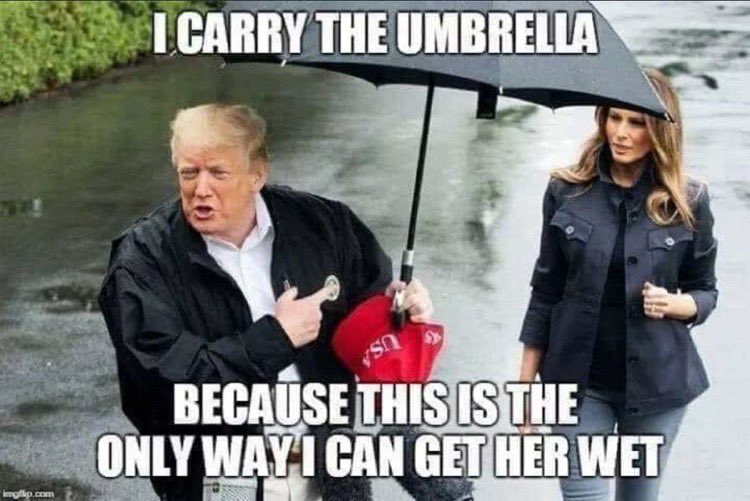 DianeBernaerts's tweet image. 