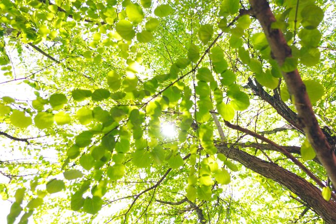 Twitterのコスプレ画像54