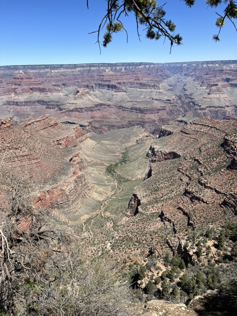 I’ve seen bigger on Kingshighway tbh