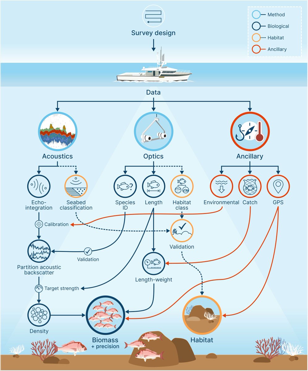 Nice paper from Ben Scoulding and colleagues in the US, UK and Australia testing a combined acoustics & optics survey method for snapper abundance in a closed area doi.org/10.1111/1365-2…