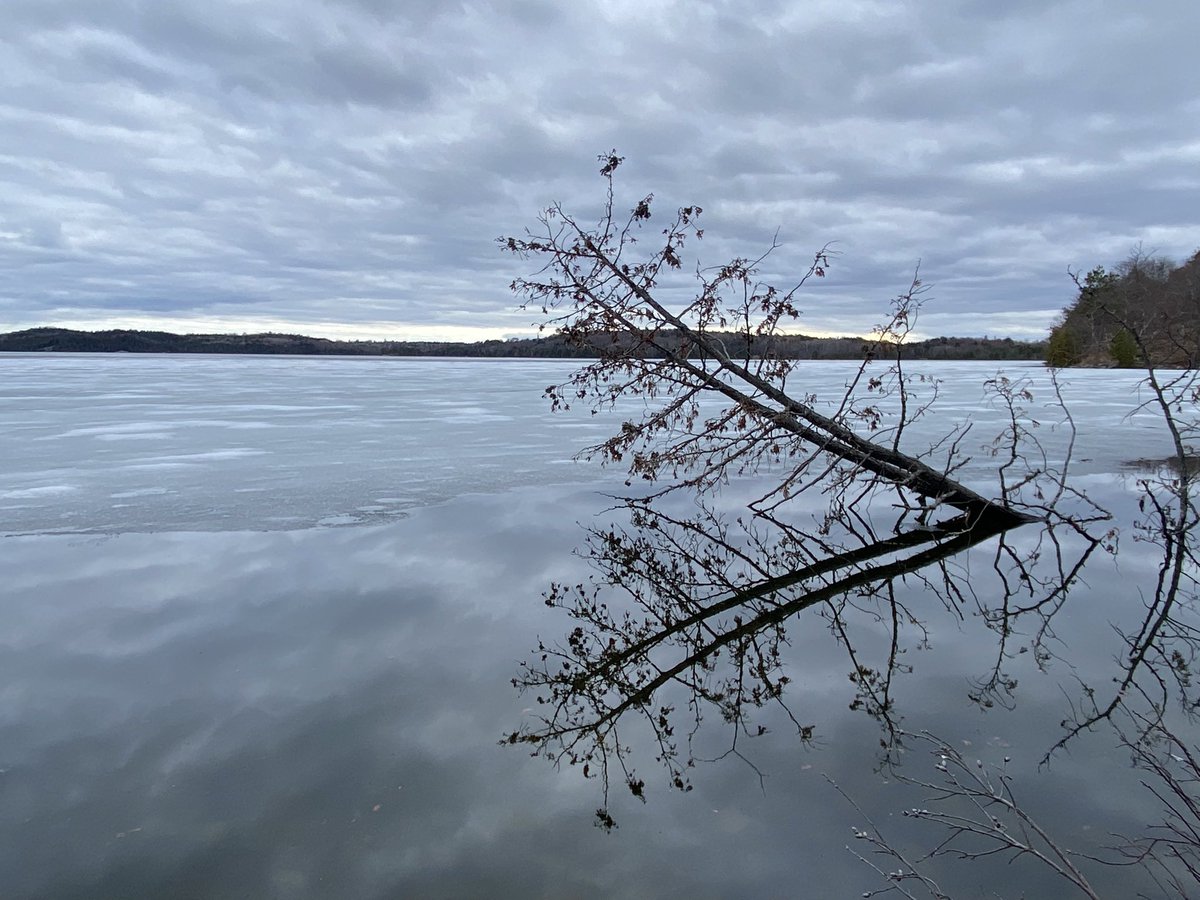 Spring symmetry #GetOutside #beauty