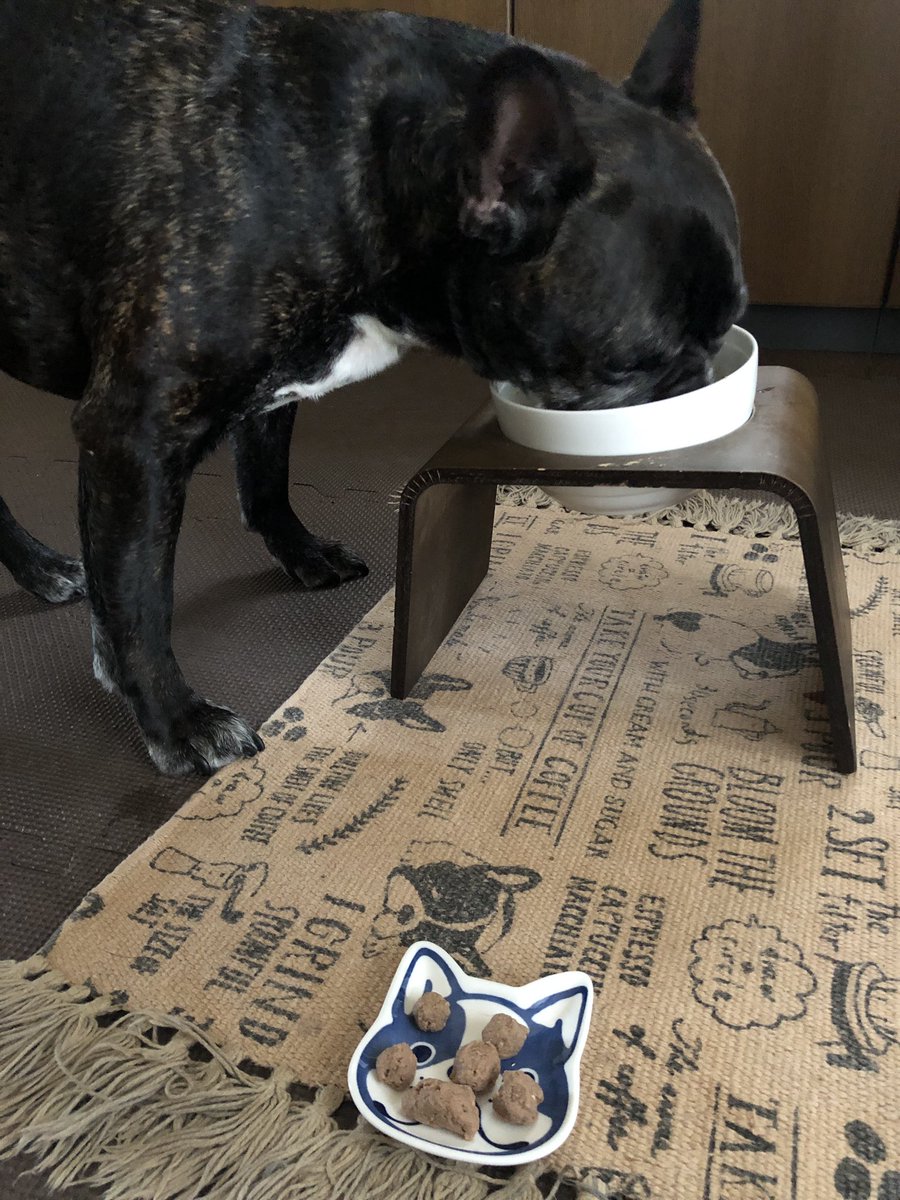 Misya28's tweet image. 朝ごはん。
手前の小皿にあるのはイチローのお薬💊

本人は、おやつと勘違いしてるみたいだけど🙄

しかし この量は…多いよね…。