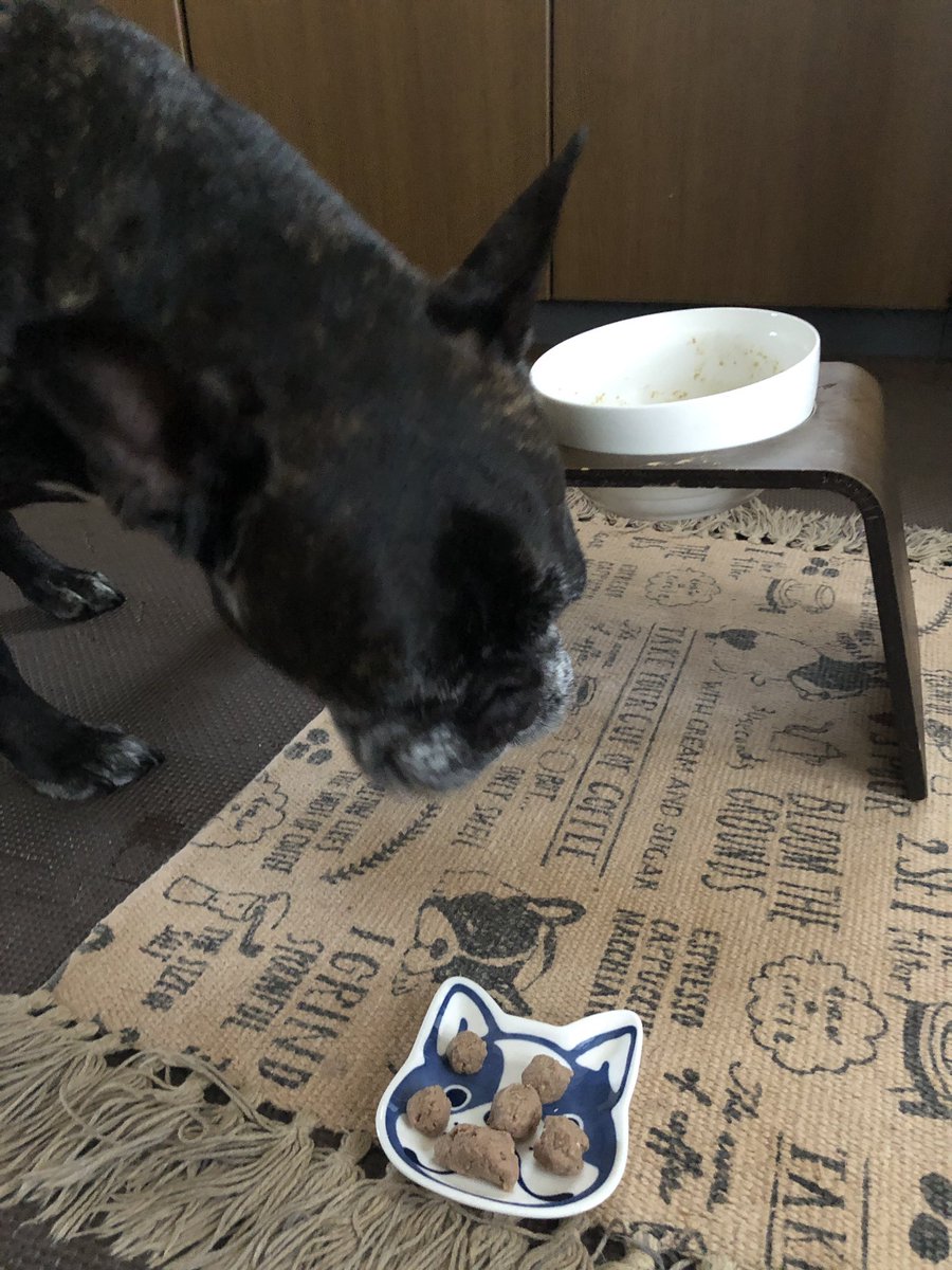 Misya28's tweet image. 朝ごはん。
手前の小皿にあるのはイチローのお薬💊

本人は、おやつと勘違いしてるみたいだけど🙄

しかし この量は…多いよね…。