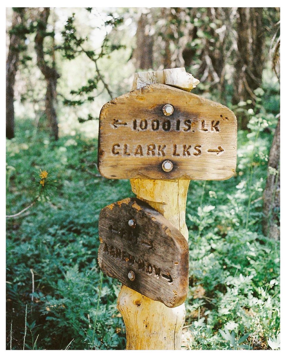 🇺🇸
どれもこれも雰囲気あるね

#sign #johnmuirtrail #anseladams 
#analogphotography #pct  #hiking #nikonf3 #onfilm #analoguemountains #山とフィルム #inyonationalforest #wildernessculture #nature #naturehike #mountainsonfilm #blackandwhitephotography #チャンプカメラ 

2022/Jul.