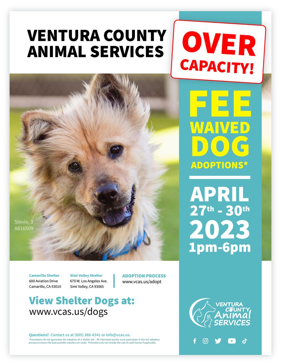 County of Ventura on Twitter "RT VCAnimalService Dog kennels are