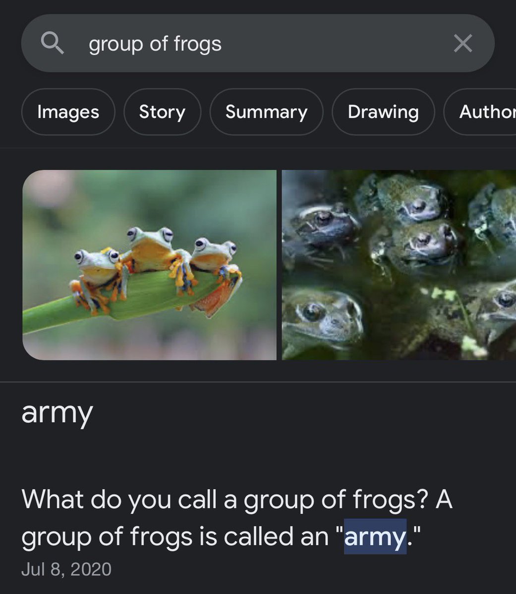 I guess I do support the troops