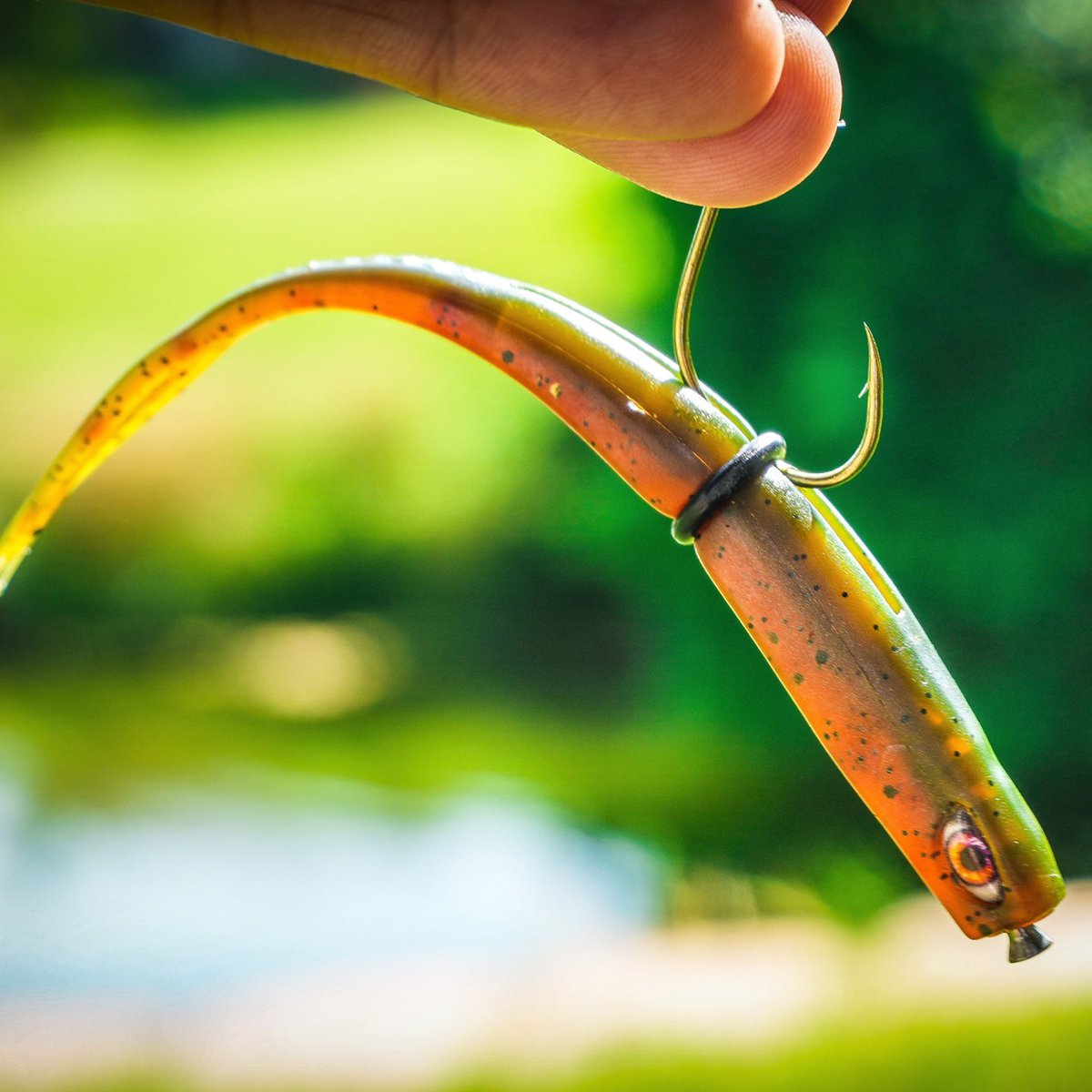 Chasebaits tweet media