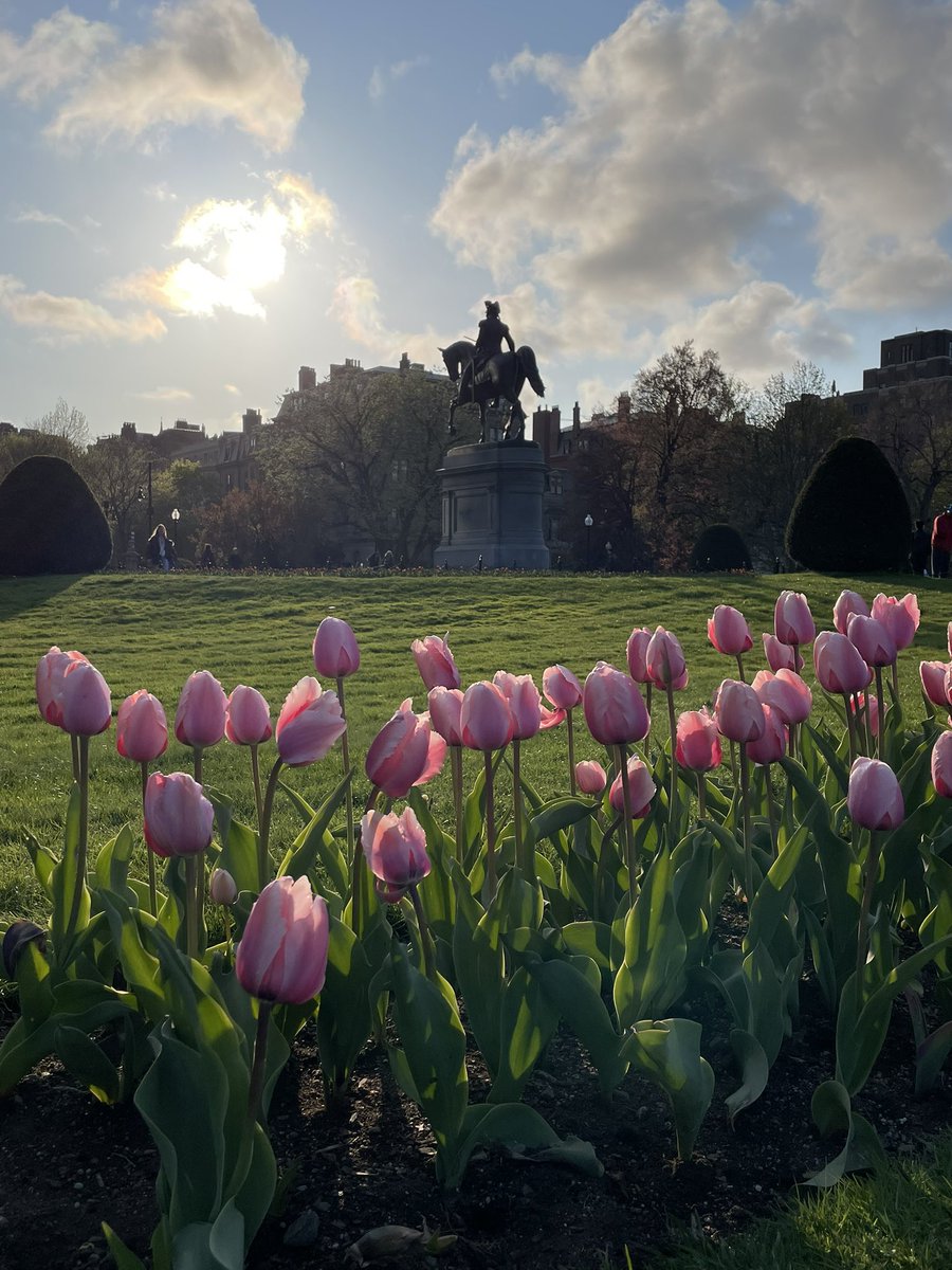 There’s an explosion of color in the #BostonPublicGarden this evening with the breathtaking #tulips around the statue of #GeorgeWashington!

@FOPG #nofilterneeded #eveninglight #beautifulboston #springflowers #eveningstroll #springcolors #springevening #statues