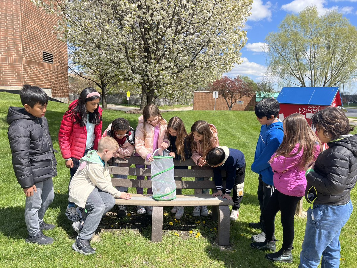 Mrs. Swedberg tweet media