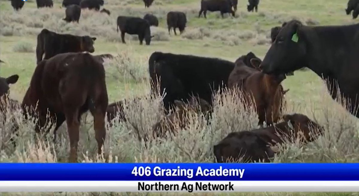 NorthernAgNET's tweet image. Top Stories this week from Northern Ag Network - mailchi.mp/northernbroadc…