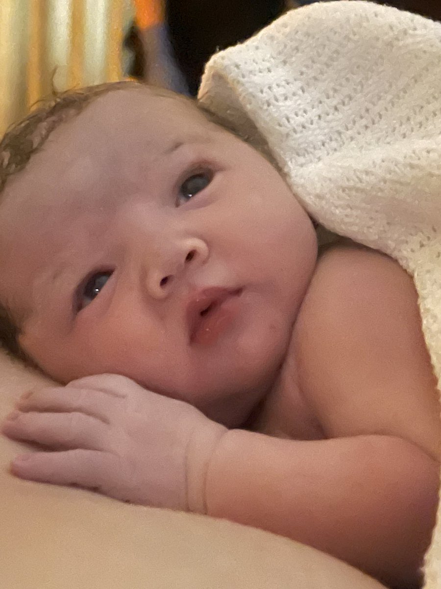 Andy Gargett tweet media