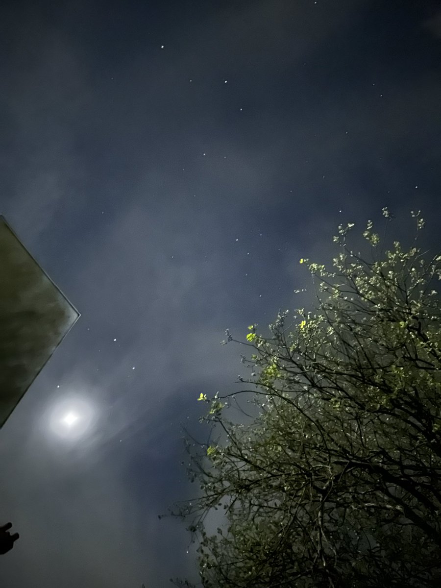 MoonPitss tweet picture