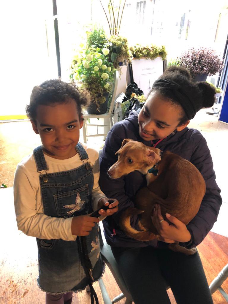 The Great Imagining tweet media