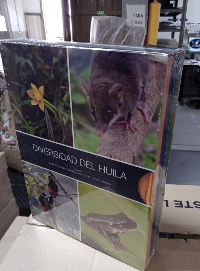 Mañana es el lanzamiento en la filbo de este lindo libro :Diversidad del Huila en donde tuve la oportunidad de ser  autora del capitulo de Herpetología 🐍🐸🦎. Editorial Universidad Distrital FJC