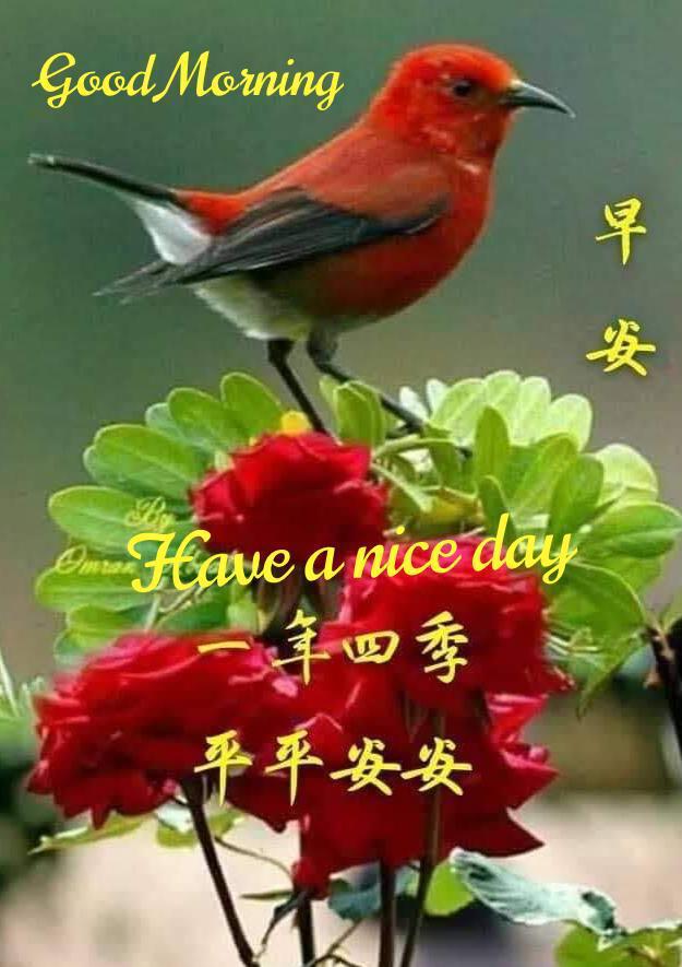 PooNgiap's tweet photo. @remihuku https://t.co/2n4Va5YD3e