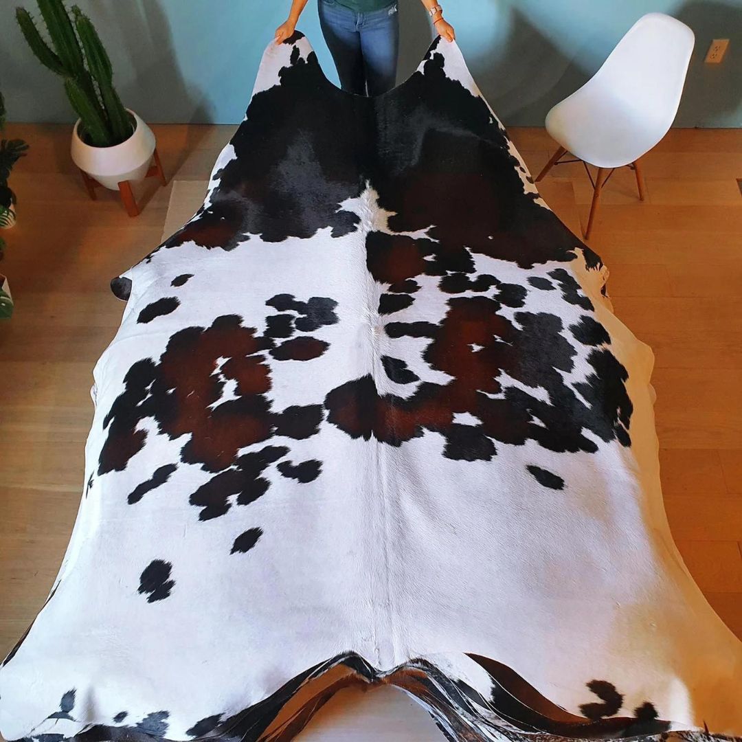 eCowhides's tweet photo. $299 - Natural Brazilian Chocolate and White Cowhide Rug Size XX Large 9915

https://t.co/O1MTY1JsjX

#luxurydesign #realcowhide #luxuryliving #cowhiderug #leather #ınterıordesingner #interior #brazilian #luxury #decor #homedecor #rugs #interior #interiordesign #homedecoration https://t.co/jMRQchs6AI