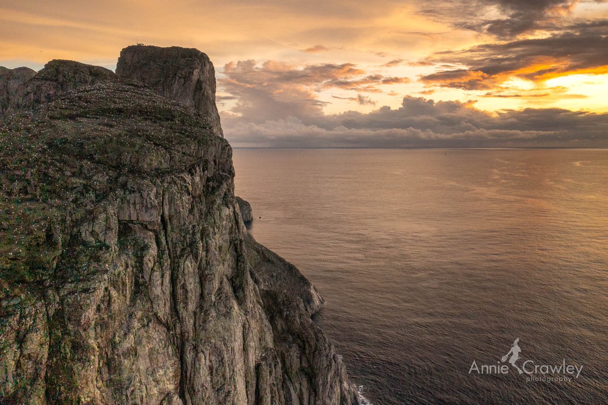 anniecrawley tweet media