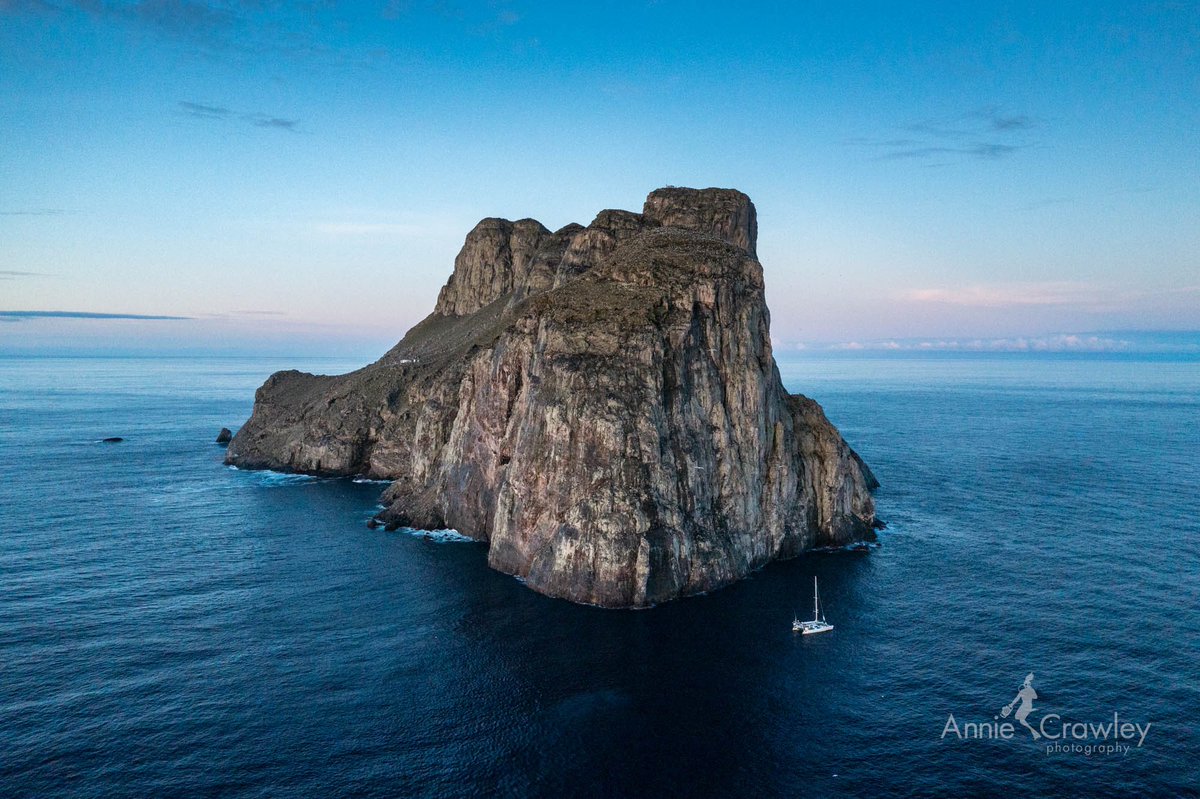 anniecrawley tweet media