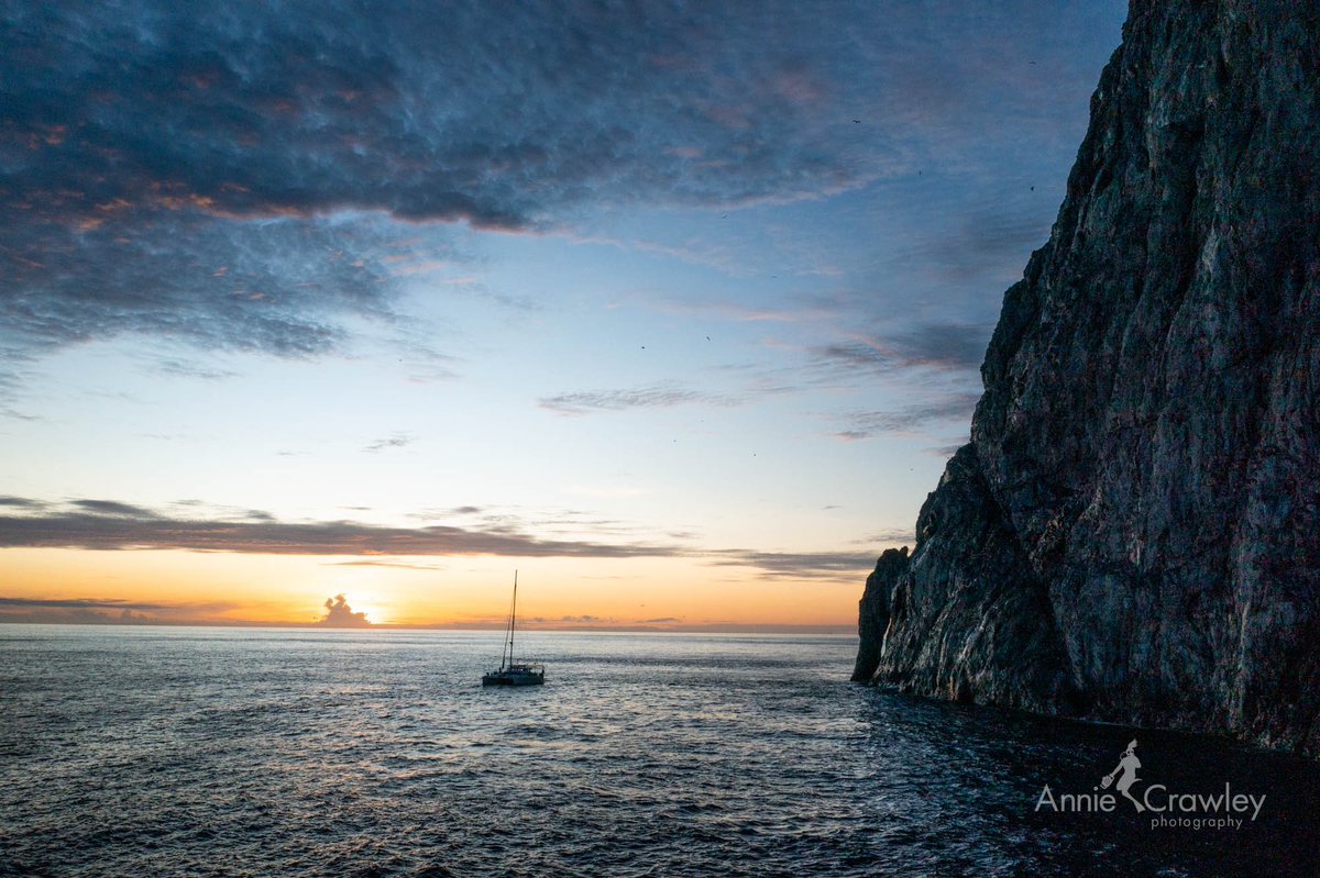 anniecrawley tweet media