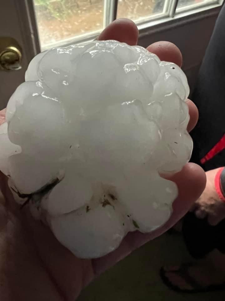 Ginger Zee tweet media