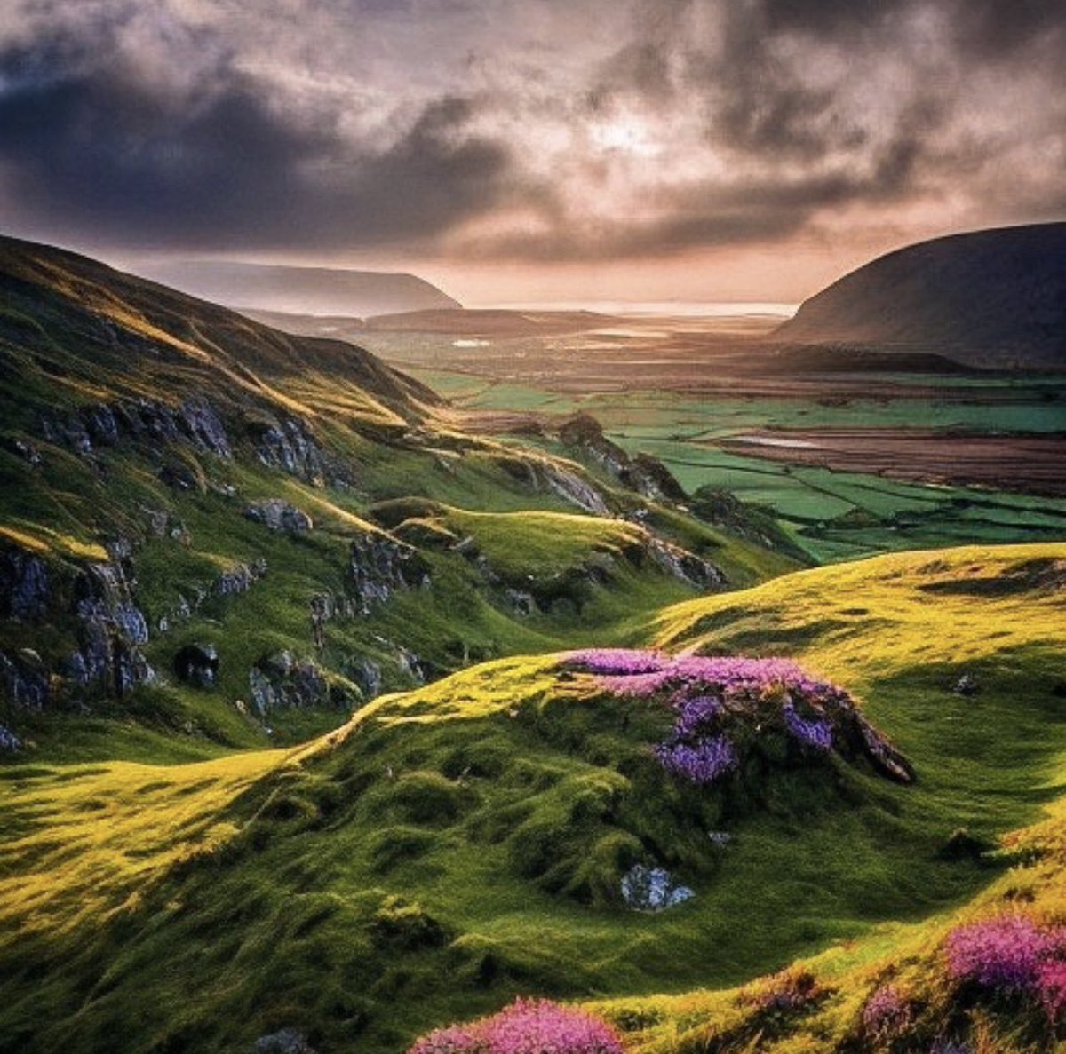 📍Co Kerry 📸 frankcosgrove [IG] #Ireland