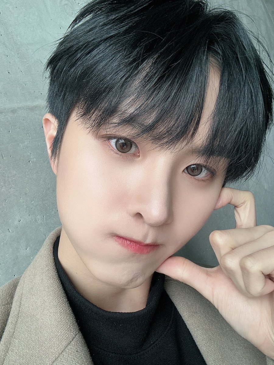 Weverse Nation 👑⚔️ Fan Account tweet media