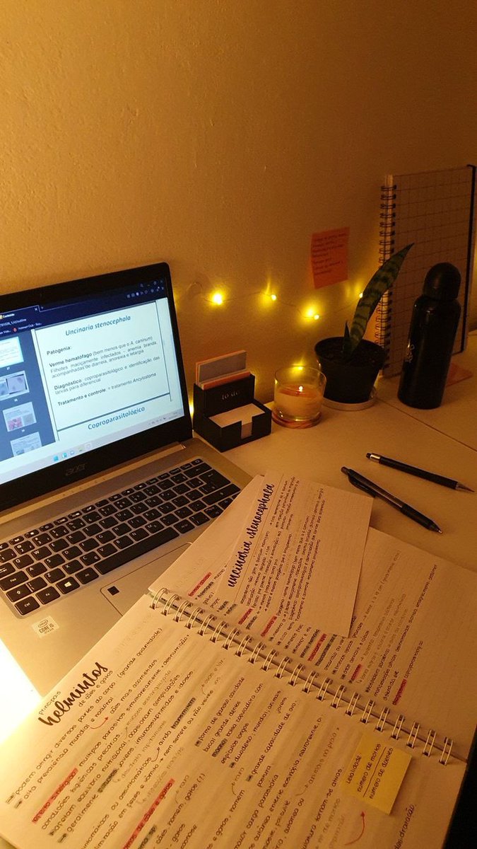 studywinter's tweet image. - MELHORES cronogramas para quem vai começar a estudar pra o enem agora. . . a thread🌷 
#studytwt