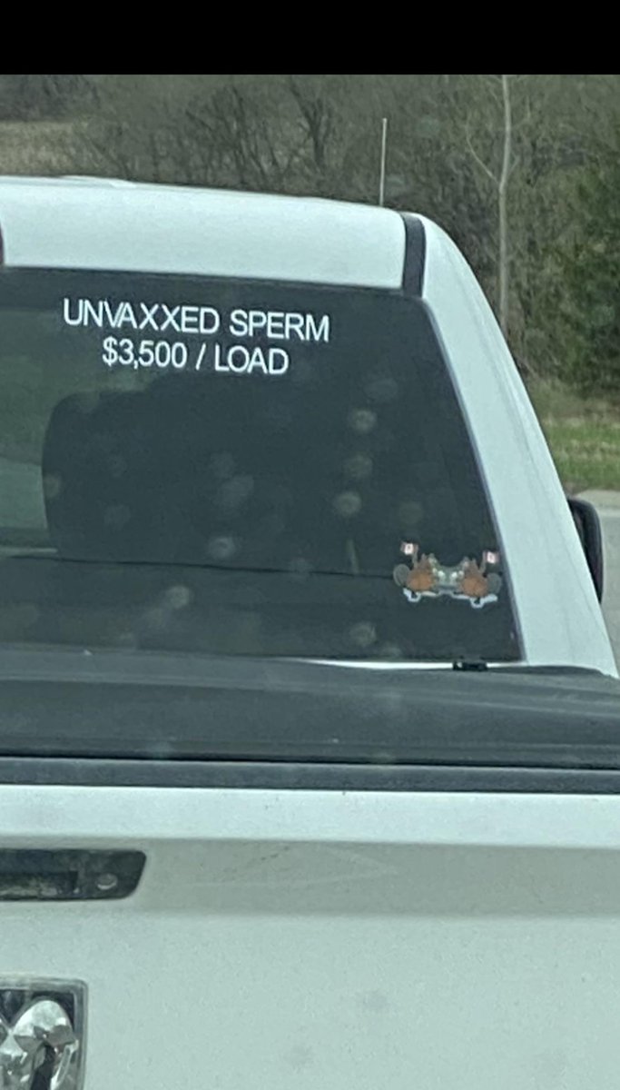 My new start up is...