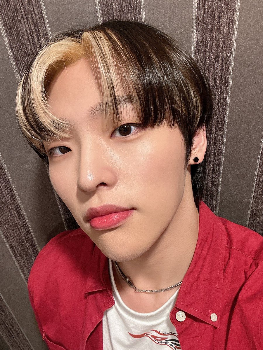 Weverse Nation 👑⚔️ Fan Account tweet media