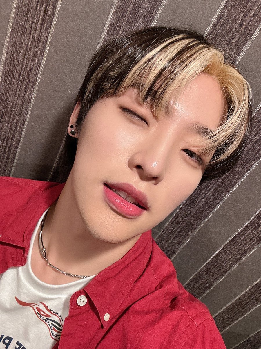 Weverse Nation 👑⚔️ Fan Account tweet media