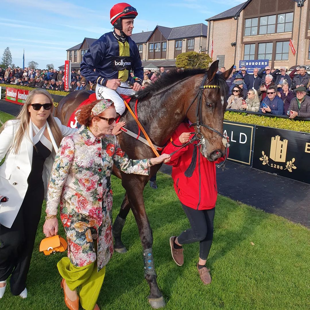 baraddur's tweet photo. Ladbrokes Punchestown Gold Cup: Fastorslow &amp; J. J. Slevin https://t.co/9mkxSUuUYi