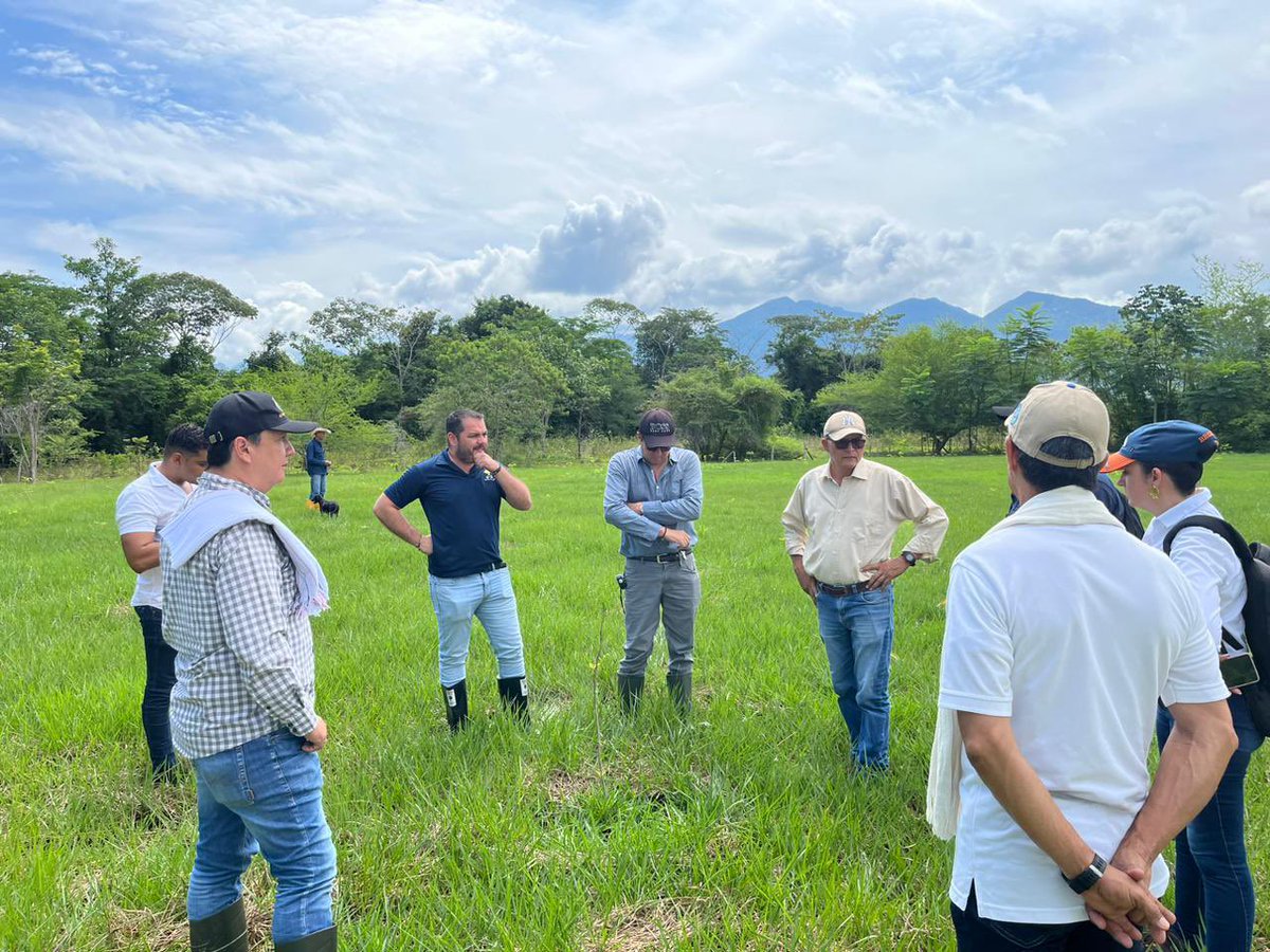 EsantSantander's tweet photo. ¡Excelentes noticias! ✅

En búsqueda de soluciones sostenibles para el tratamiento de aguas residuales, realizamos una visita técnica con profesionales de la UNIPAZ y @ECOPETROL_SA (sigue hilo) https://t.co/vW3G7PhiHQ