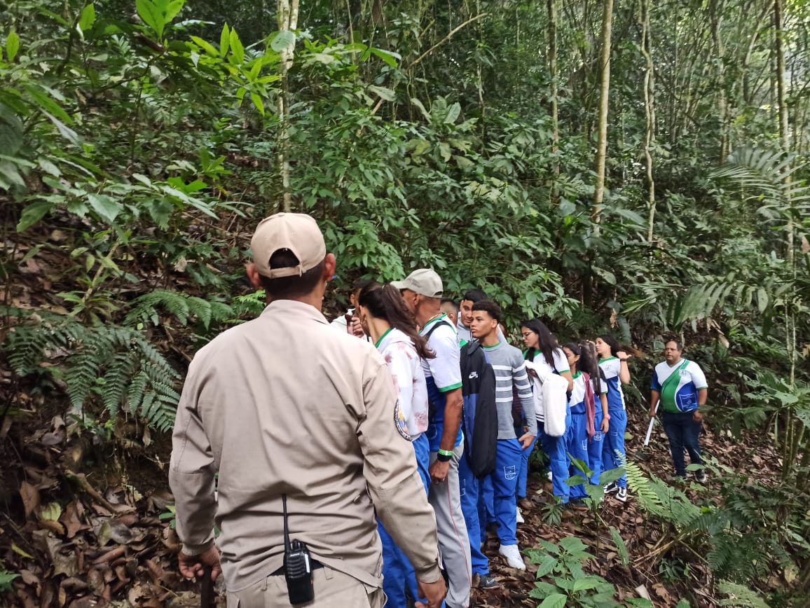 Cómo acción conjunta con la comisión de Ecosocialismo,se realizó senderismo de interacción con la naturaleza dónde los jóvenes liceistas del municipio Lamas recibieron una guía informativa en los espacios del imponente Parque Nacional Heri Pittier. <a href="/JuventudPSUV/">Juventud PSUV</a> <a href="/CarlosAyalaVzl/">Carlos Ayala</a>