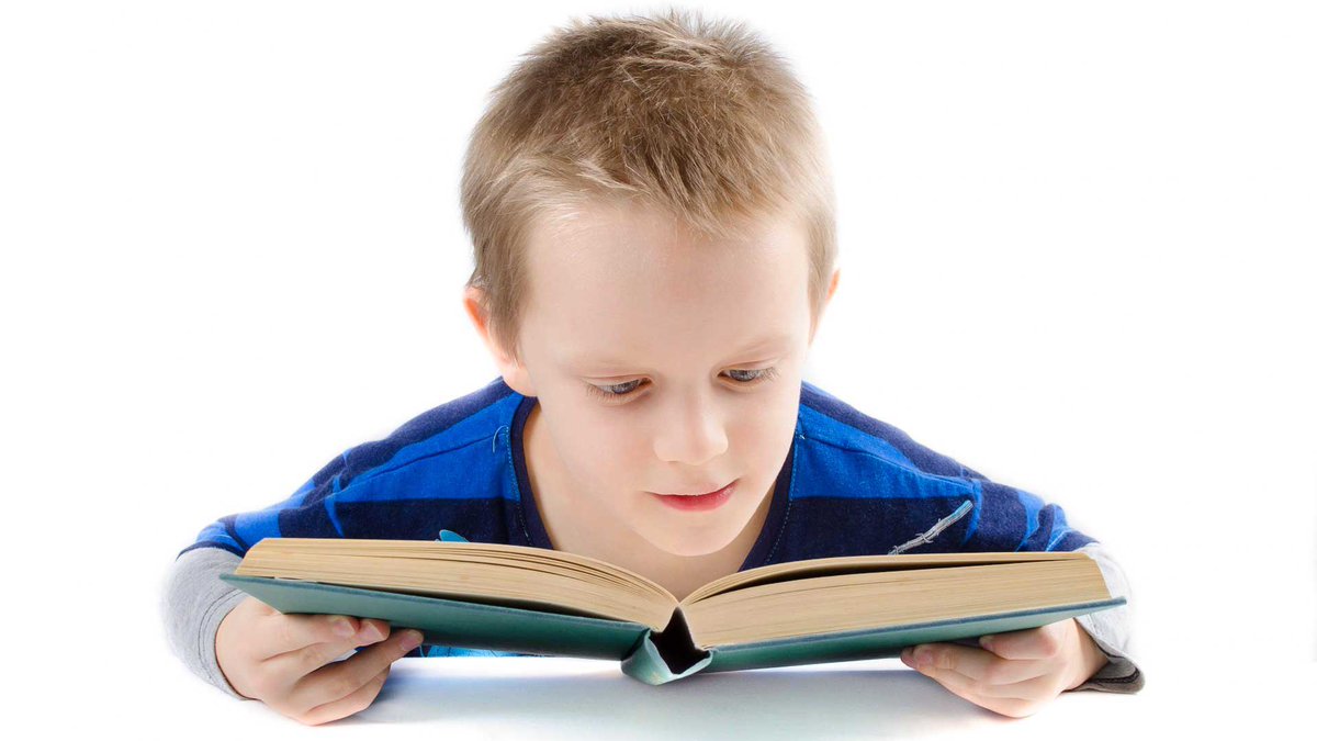 good__ideas__'s tweet photo. fake books (no words on the pages but you look like you’re reading) https://t.co/0sOfMvQv10