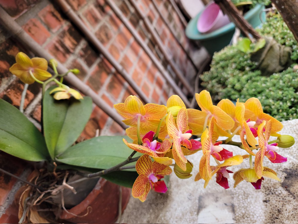 Point Knife Six (@six_knife) on Twitter photo 