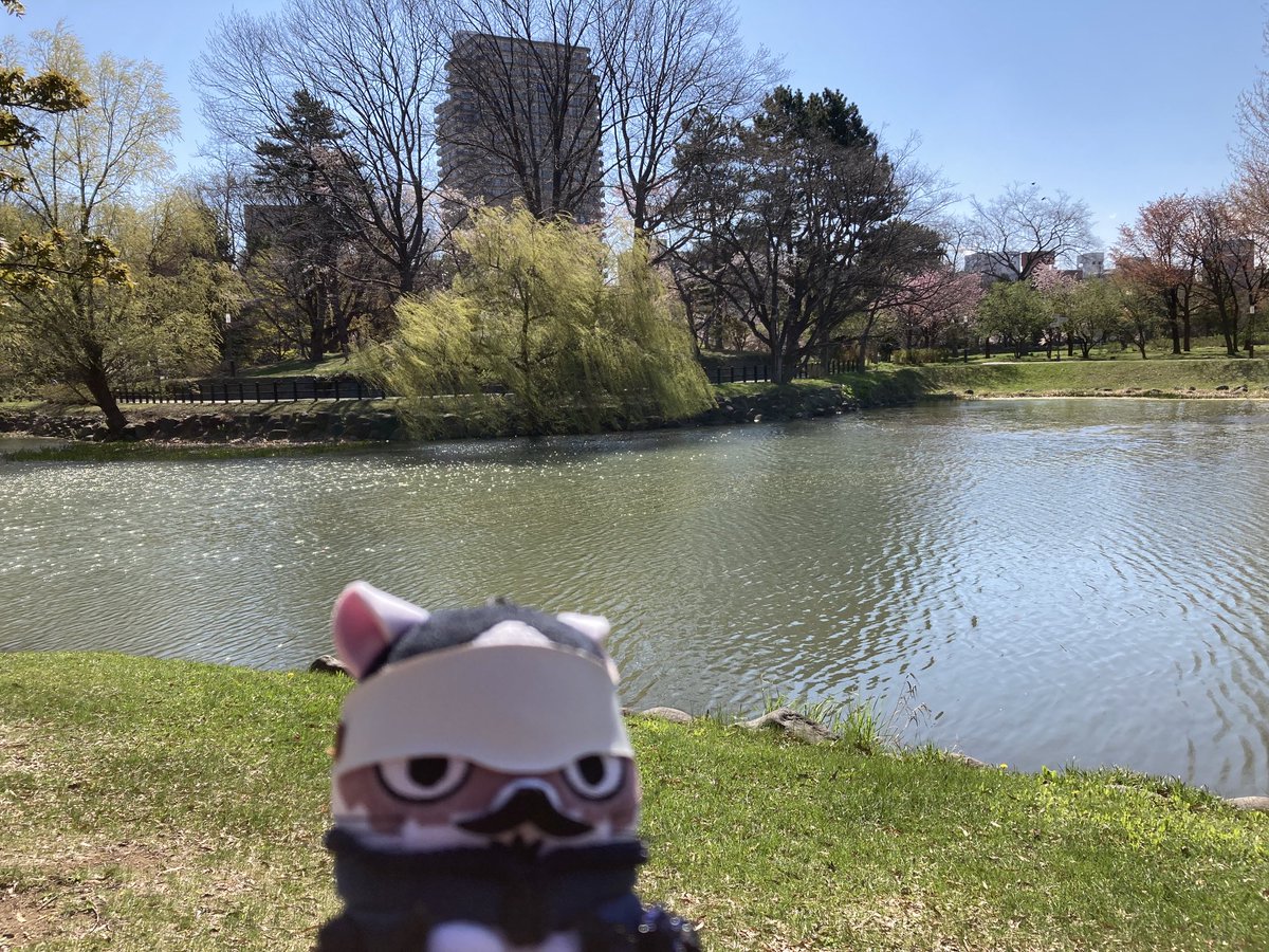 情報屋の風景

#フォゼ鶴 #中島公園
#金カム聖地巡礼#金カムぬい撮り部