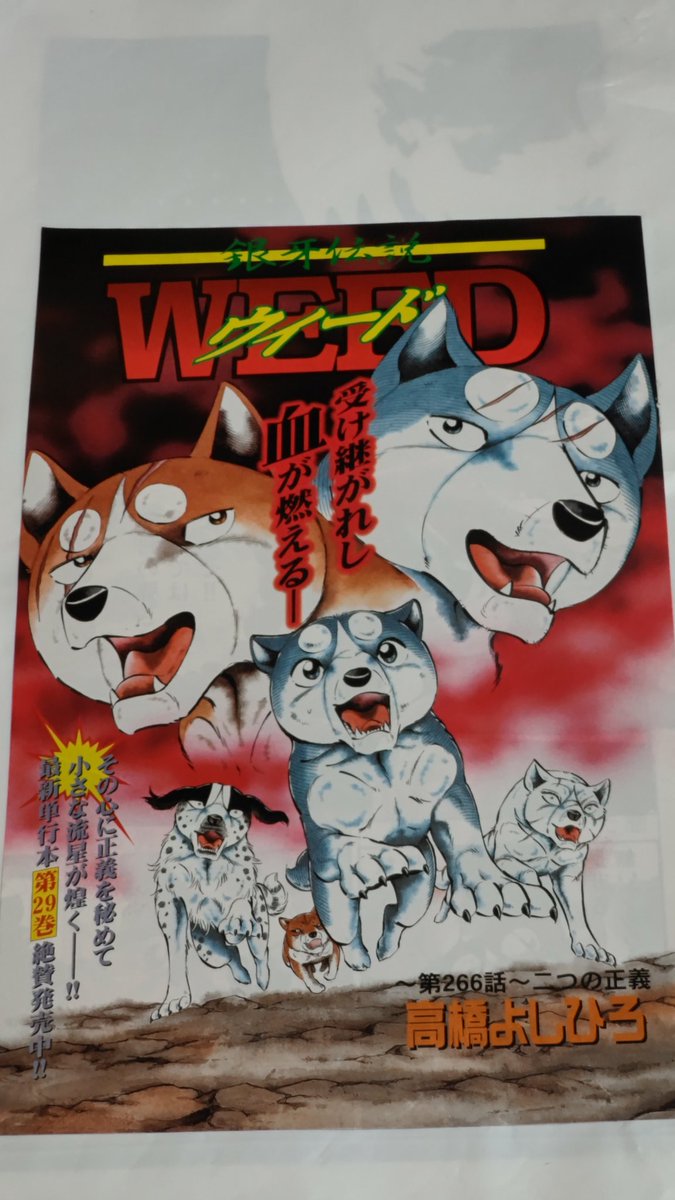 銀牙伝説WEEDのカラー❗😁 扉絵がカッコいいね👍 父親の銀と.. | 中原