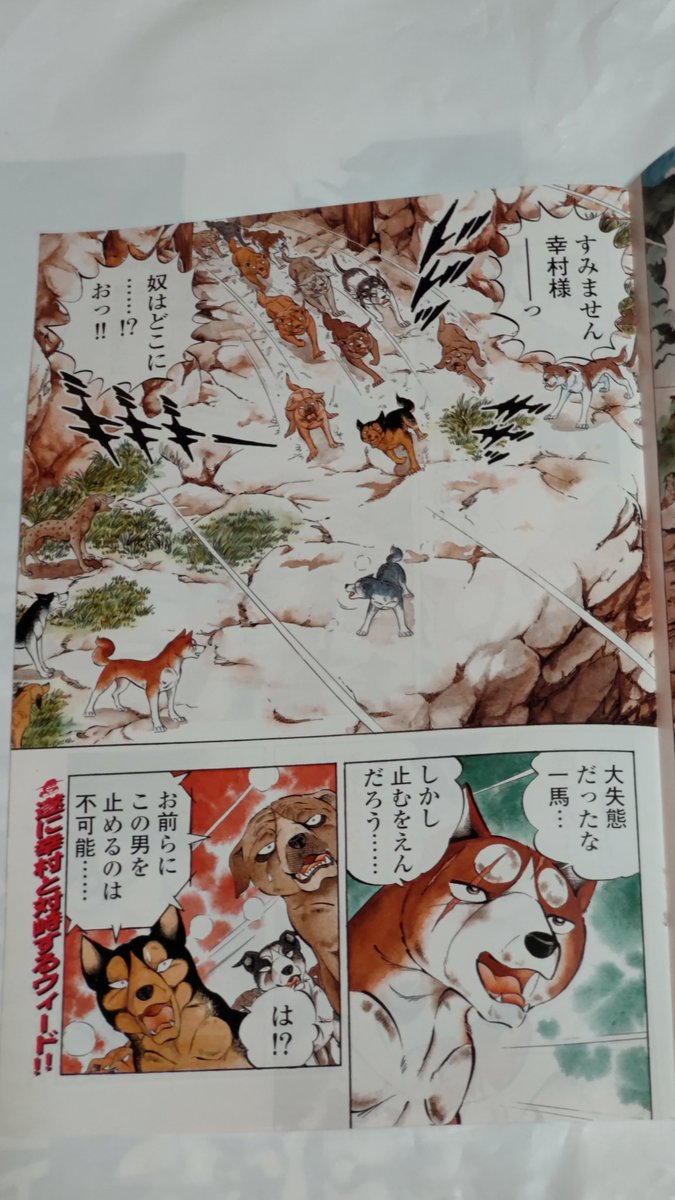 イトハン 　1点もの！漫画ビッグ1 原画 here and there vol.1-vol.10 by Nakako Hayashi - 古本買取 2手
