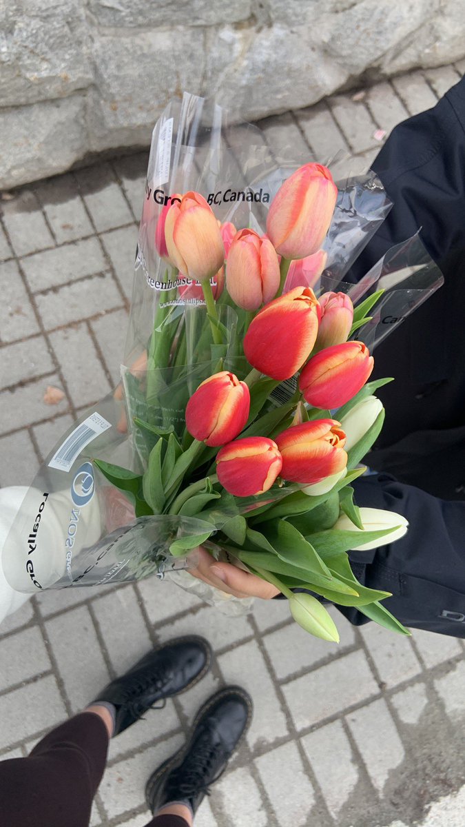 KarolnaNov8's tweet photo. Made my day https://t.co/PgHBcBz7L7