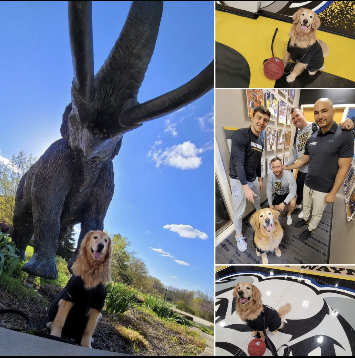 Mastodon Alumni Community tweet media