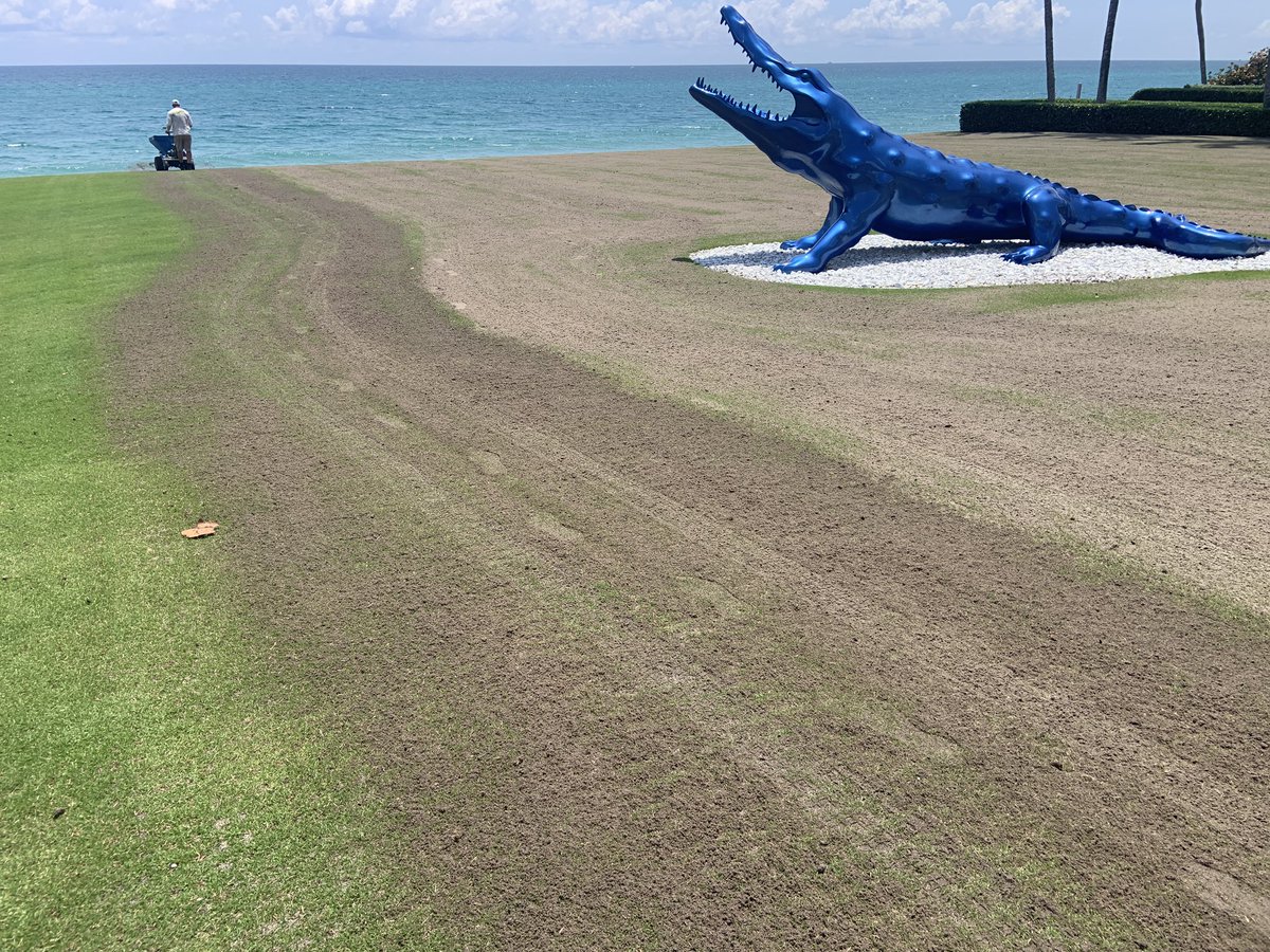 Southern Turfgrass Services tweet media