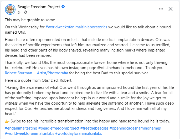 Indy24121's tweet image. #endanimaltesting #beaglefreedomproject #freethebeagles #openingcagesnamingnames #worldweekforanimalsinlabs #worlddayforanimalsinlabs