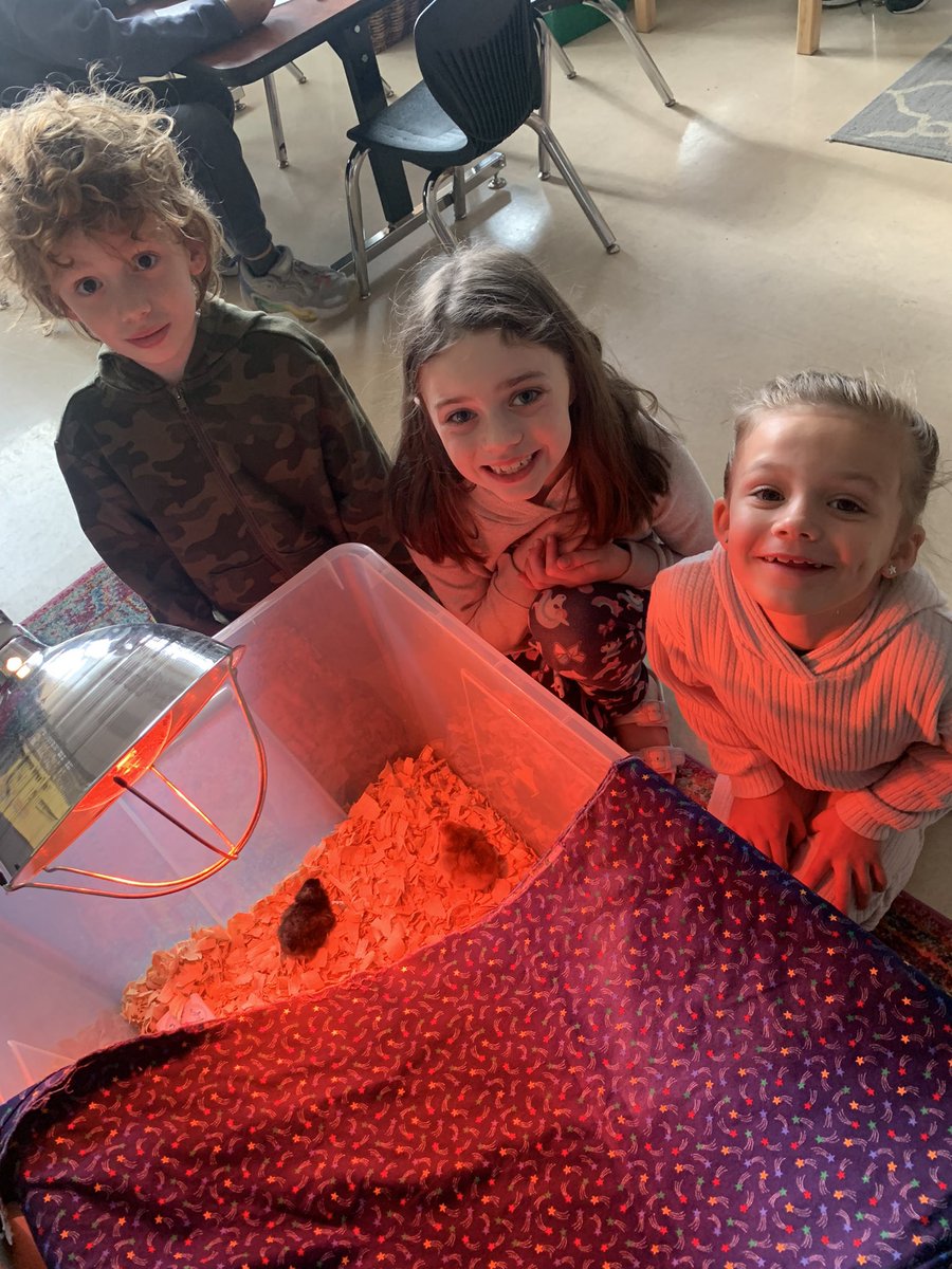 They’re HERE. It was a happy day💕🐥 #weshinebright #WEarelakota