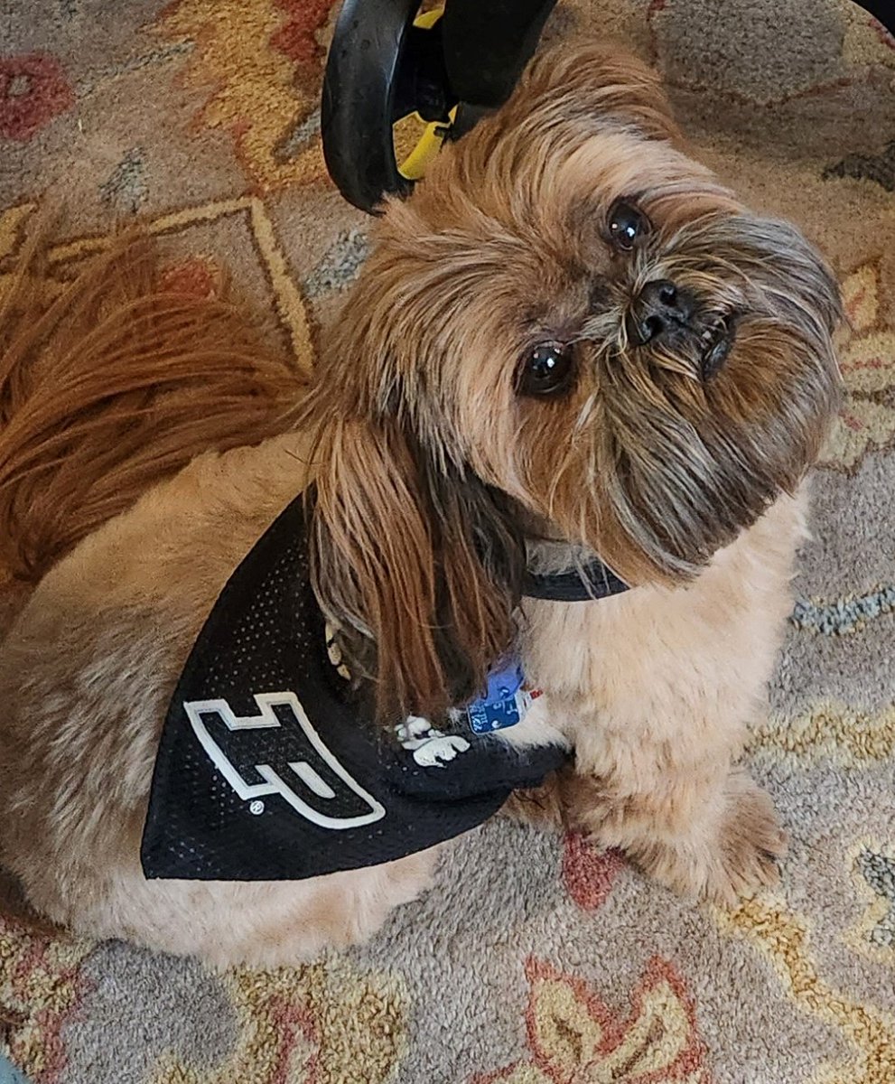 PSUB Events @ Purdue tweet media