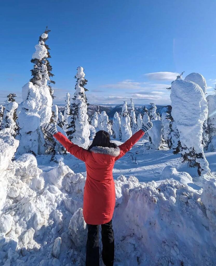 Explore Fairbanks tweet media