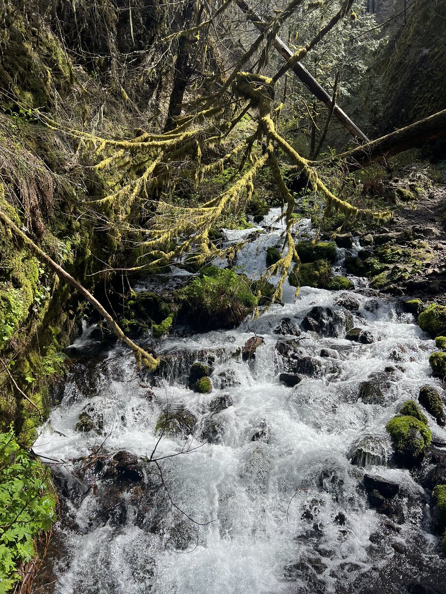 Had some time off to explore this beautiful place. Now back for the last part of <a href="/TheIsnr/">The ISNR</a>