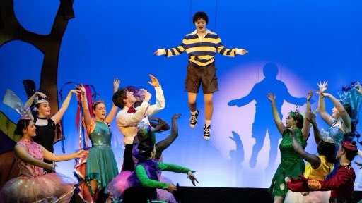theflyguy's tweet photo. Had a great time working with the cast and crew of Seussical at @whmusical  Some of the most talented kids I’ve worked with. If you’re in the Pittsburgh area you should catch this. @wh_musical #seussicalthemusical #flyingeffects #performerflying #aerialchoreography https://t.co/D8ehw65Xvz