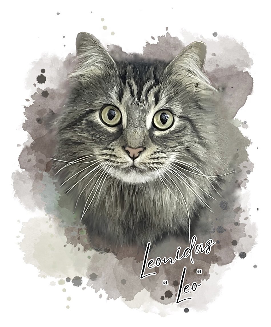just_jay_99's tweet photo. If anyone is interested, I’m doing custom digital pet portraits for $20! ☺️ it can also be sent in whatever file type you prefer! They look ADORABLE printed and framed, js 💕🐾 DM me if interested pleaseeee https://t.co/ezxpObvMA1