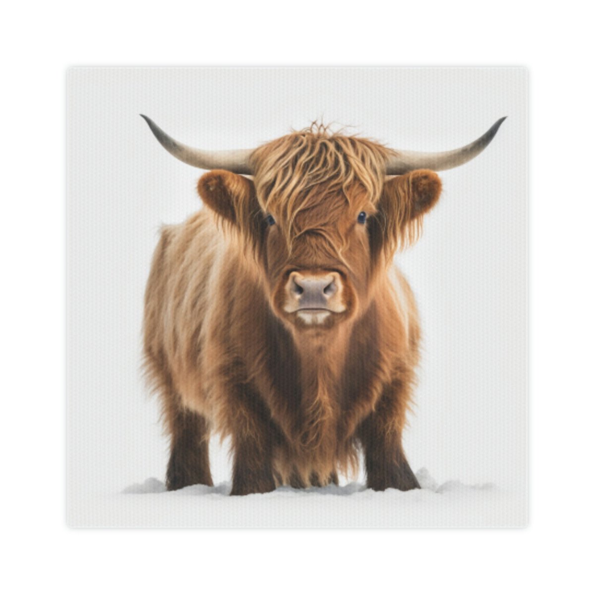 Excited to share the latest addition to my #etsy shop: Highland Cow Wall Art, Highland Cow Print, Highland Cow, Canvas Photo Tile etsy.me/421kImt #highlandcowart #highlandcowdecor #highlandcow #highlandcowlover #cowlover #cowgift #wunderbycali