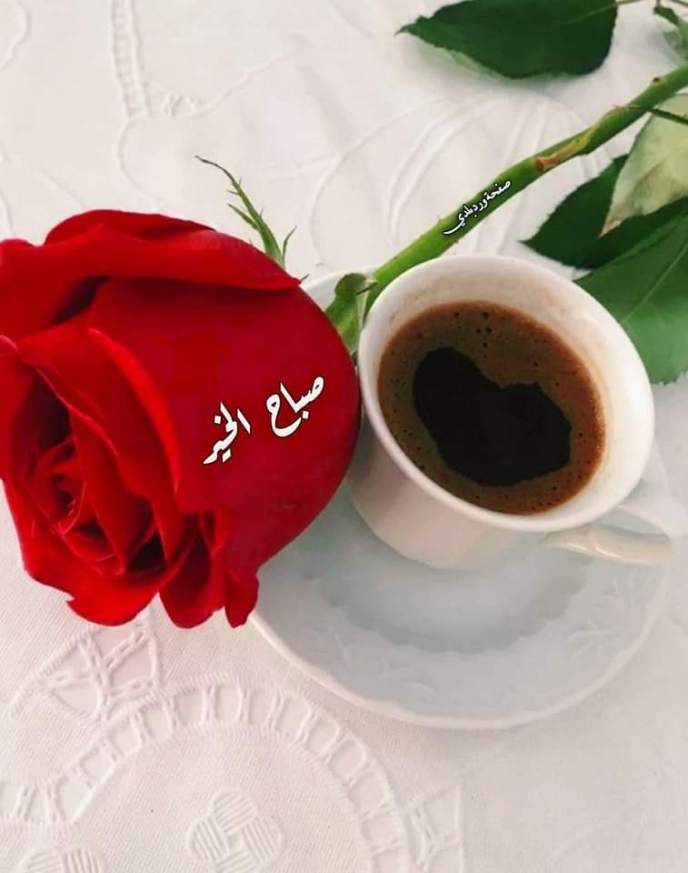 صباح الخير
لمن يحملون دوما في قلوبهم الخير  
يُشبهون سُعاة البريد
يعرفون عناوين الجميع ولايعرف أحد عناوينهم
صباح الخير للطيبين الذين لا أعداء لهم متصالحين مع الجميع
 صباح الخير لكل خيرحولنا
للمنسِيين الذين لايتذكرهم أحدويتذكرون الجميع
لأصحاب النوايا البيضاء.الأنقياء النادرين جداً